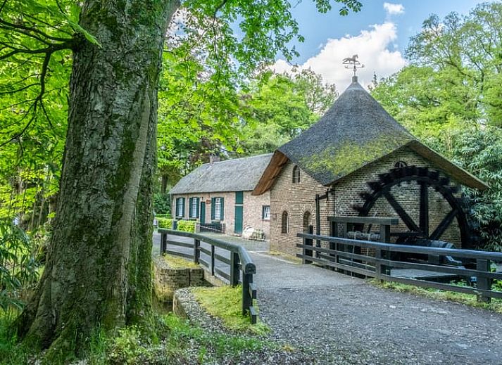 Unterkunft 381303 - Ferienhaus Noord Limburg - Vakantiehuisje in Geijsteren