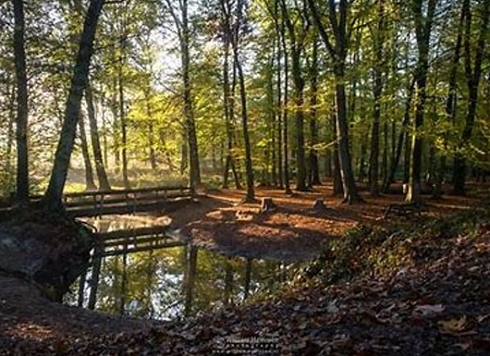 Unterkunft 381303 - Ferienhaus Noord Limburg - Vakantiehuisje in Geijsteren