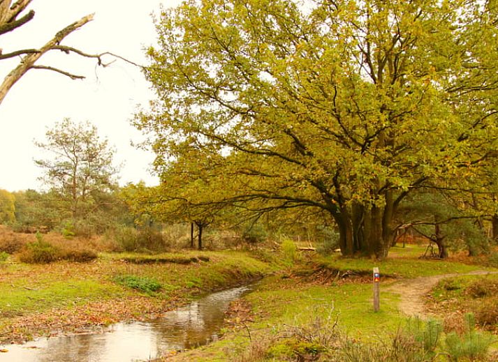 Unterkunft 381403 - Ferienhaus Noord Limburg - Vakantiehuis in Swolgen