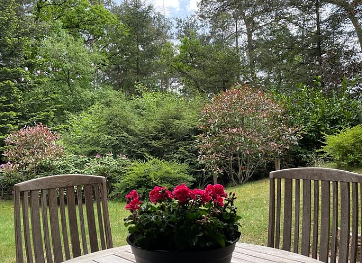 Guest house 381404 - Holiday property Noord Limburg - Vakantiehuis in Swolgen