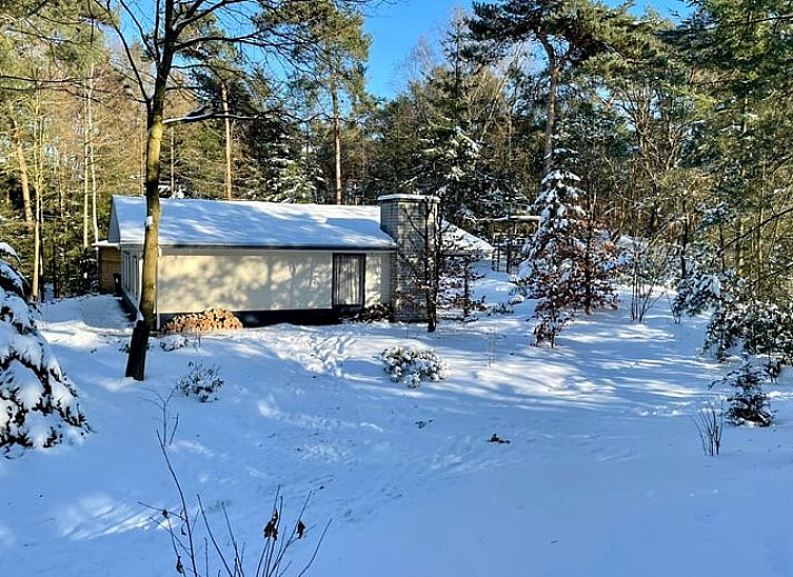 Guest house 381404 - Holiday property Noord Limburg - Vakantiehuis in Swolgen