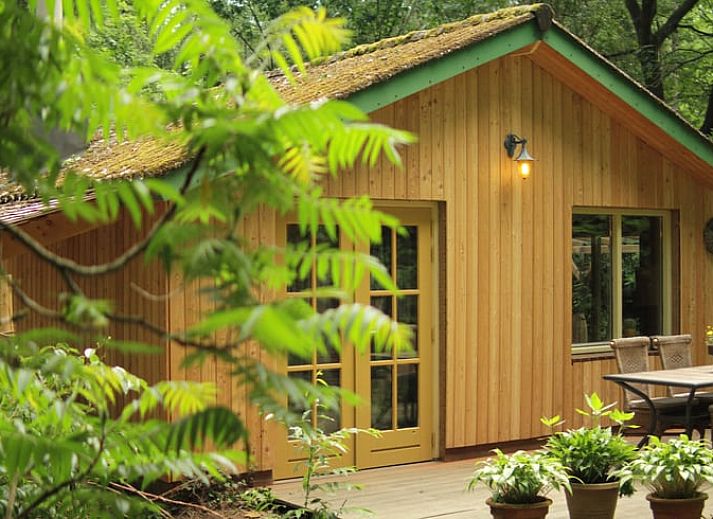 Guest house 381405 • Holiday property Noord Limburg • Huisje in Swolgen