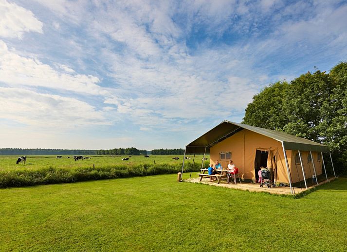Guest house 381607 • Tent house Noord Limburg • Safaritent