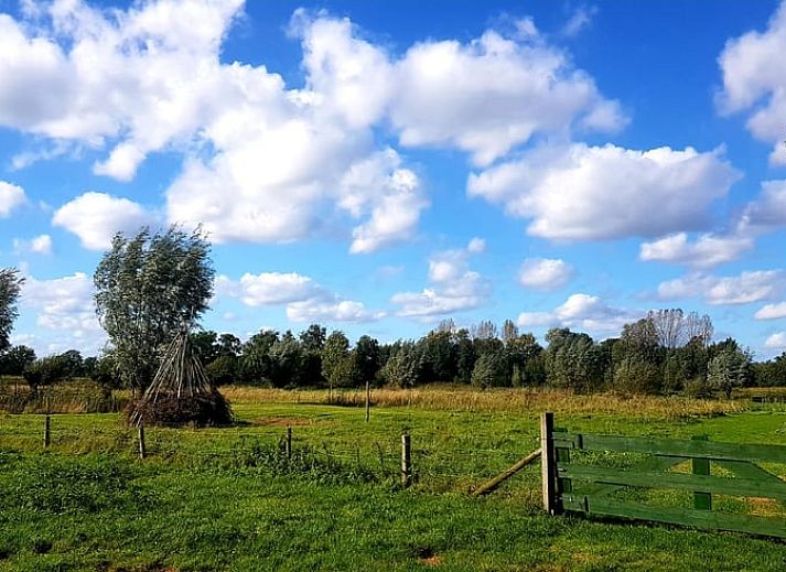 Vakantiehuis in Horst aan de Maas omgeven door weelderige natuur in Horst, Noord Limburg.