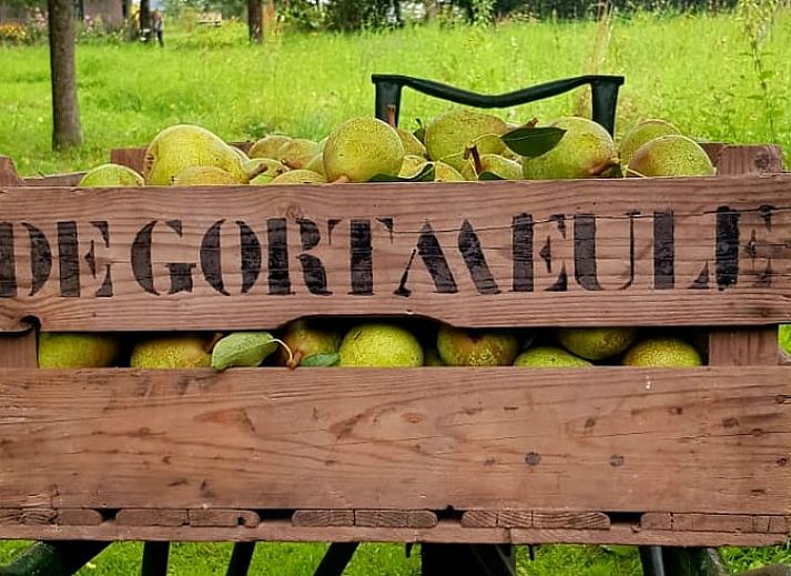 Sfeervolle slaapkamer in vakantiehuis Horst aan de Maas met houten meubels in Horst, Noord Limburg.