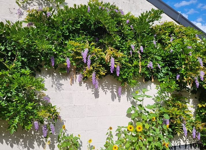 Moderne keuken in Vakantiehuis in Venlo, Noord Limburg met stijlvolle afwerking en alle gemakken.