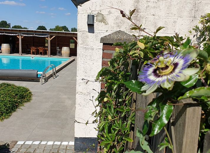 Guest house 381903 - Holiday property Noord Limburg - Vakantiehuisje in Venlo