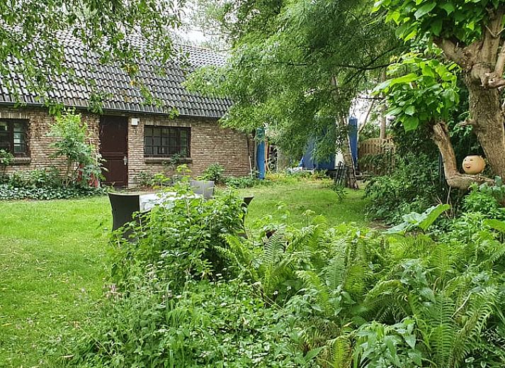 Guest house 382006 - Holiday property Noord Limburg - Vakantiehuisje in Velden