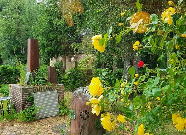 Guest house 382006 - Holiday property Noord Limburg - Vakantiehuisje in Velden