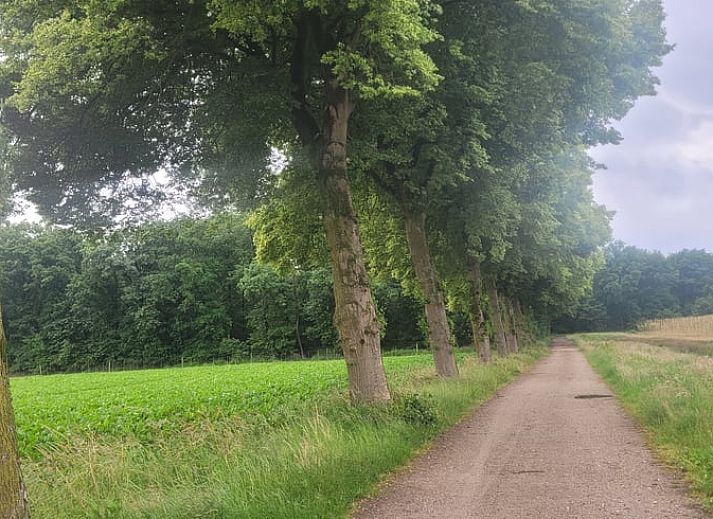 Unterkunft 382202 - Ferienhaus Noord Limburg - Huisje in Broekhuizenvorst