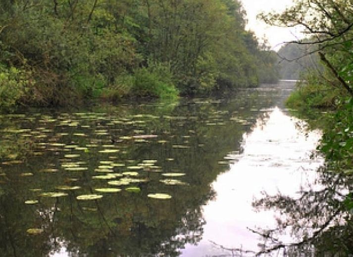 Unterkunft 382202 - Ferienhaus Noord Limburg - Huisje in Broekhuizenvorst