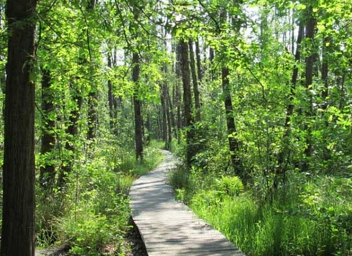 Unterkunft 382202 - Ferienhaus Noord Limburg - Huisje in Broekhuizenvorst