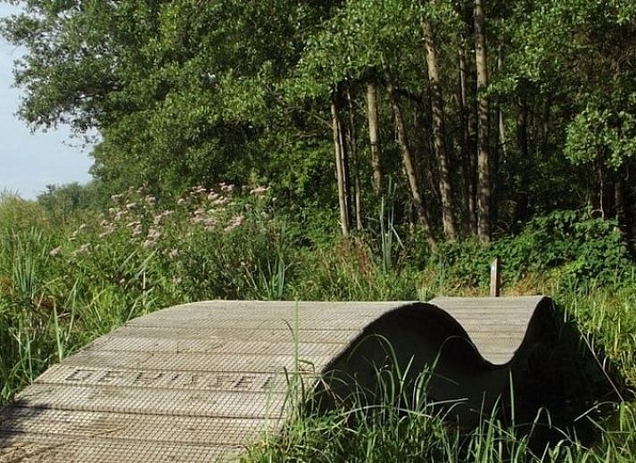 Unterkunft 382202 - Ferienhaus Noord Limburg - Huisje in Broekhuizenvorst