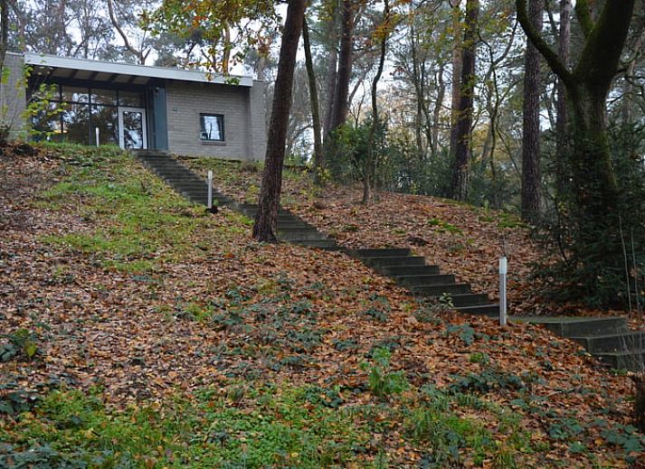 Verblijf 382608 - Vakantiewoning Noord Limburg - Vakantiehuis in Blitterswijck