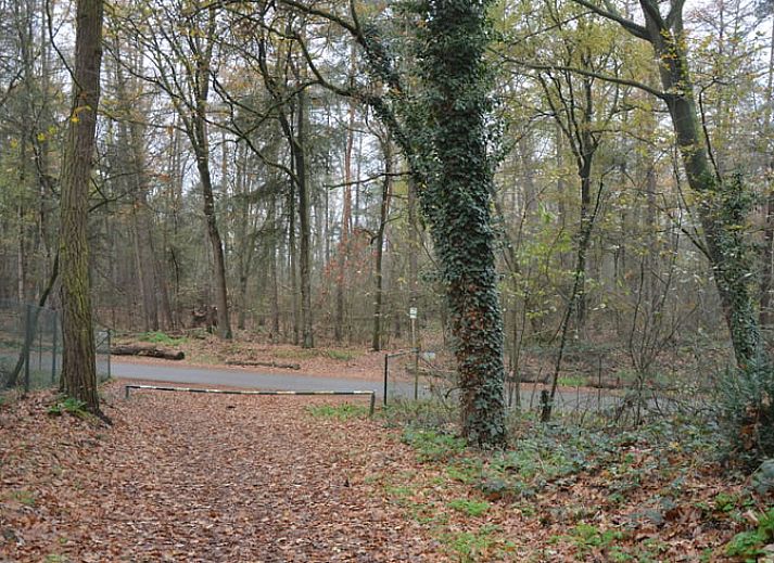 Verblijf 382608 - Vakantiewoning Noord Limburg - Vakantiehuis in Blitterswijck