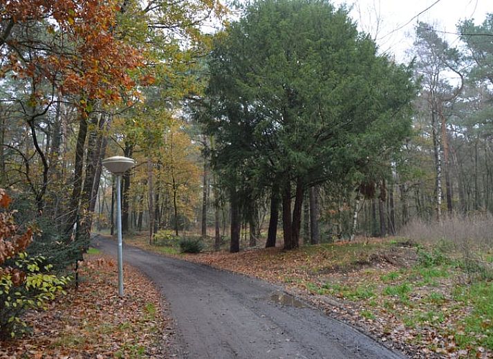 Verblijf 382608 - Vakantiewoning Noord Limburg - Vakantiehuis in Blitterswijck
