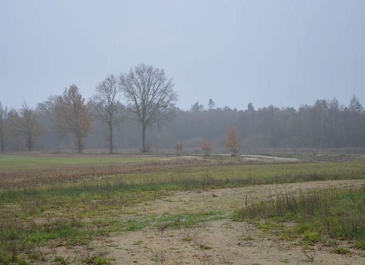 Verblijf 382608 - Vakantiewoning Noord Limburg - Vakantiehuis in Blitterswijck