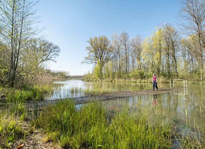 Unterkunft 382611 - Ferienhaus Noord Limburg - Vakantiehuisje in Blitterswijck