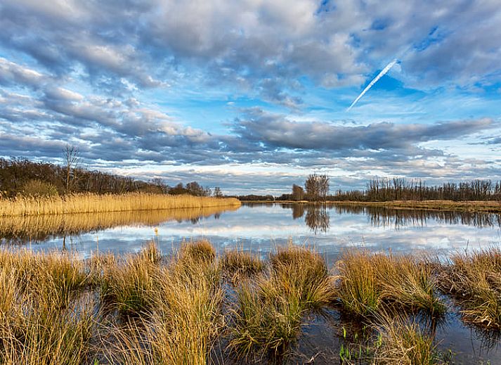 Unterkunft 382611 - Ferienhaus Noord Limburg - Vakantiehuisje in Blitterswijck