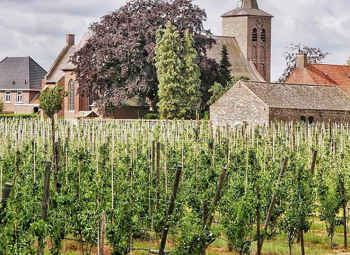 Unterkunft 382611 - Ferienhaus Noord Limburg - Vakantiehuisje in Blitterswijck