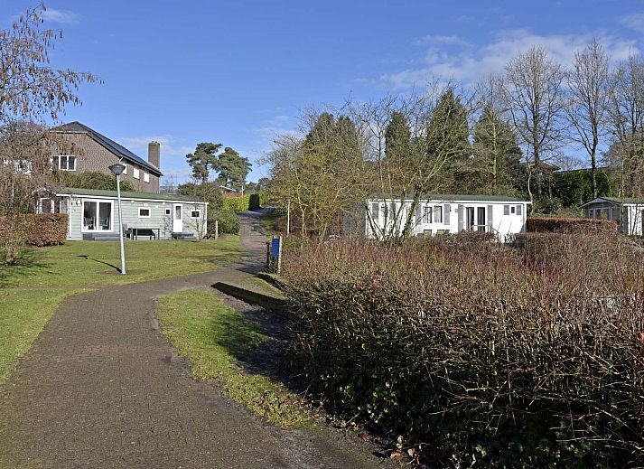 Guest house 3827103 - Chalet Noord Limburg - Chalet in Arcen