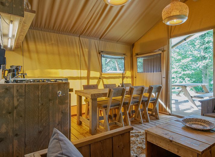 Unterkunft 3827126 - Zelthaus Noord Limburg - «Klein Vink 20»