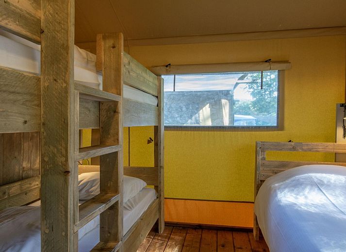 Unterkunft 3827127 - Zelthaus Noord Limburg - «Klein Vink 21»