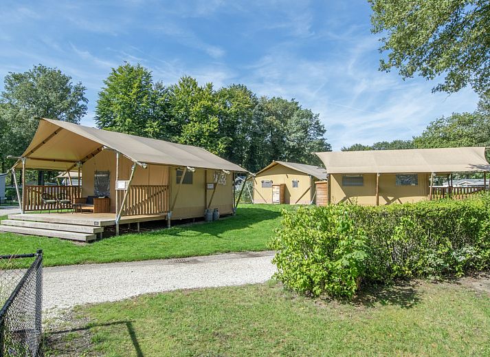 Unterkunft 3827128 - Zelthaus Noord Limburg - «Klein Vink 19»