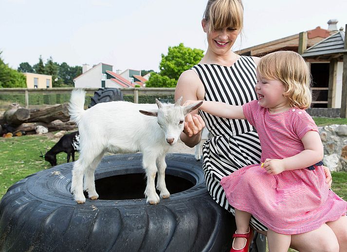 Verblijf 382793 - Chalet Noord Limburg - Chalet in Arcen