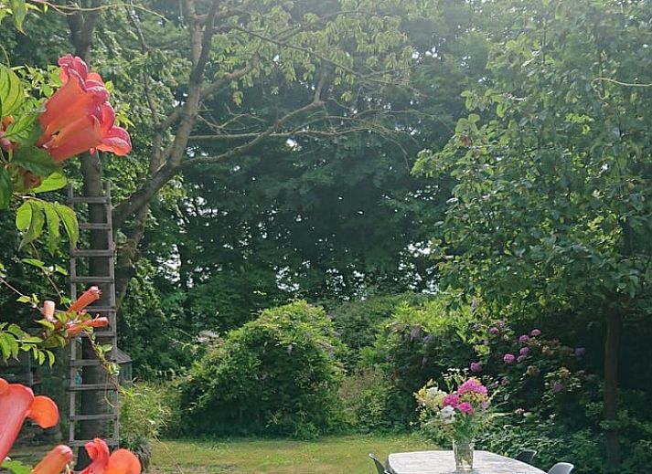 Guest house 382801 - Holiday property Noord Limburg - Huisje in Helden