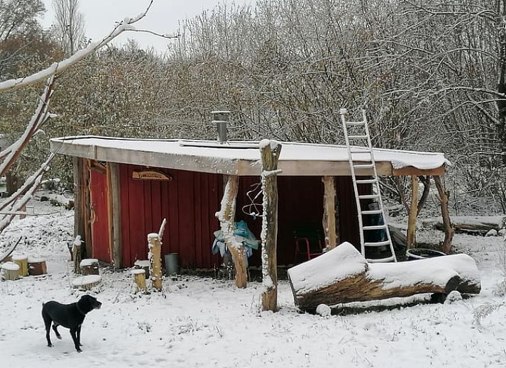 Gezellig Vakantiehuisje in Afferden, Limburg, met houten ingang en natuurlijke omgeving.