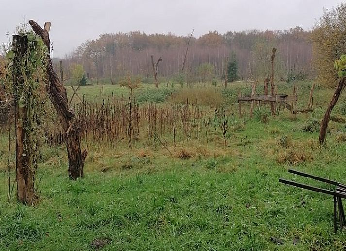 Gezellig Vakantiehuisje in Afferden, Limburg, met houten ingang en natuurlijke omgeving.