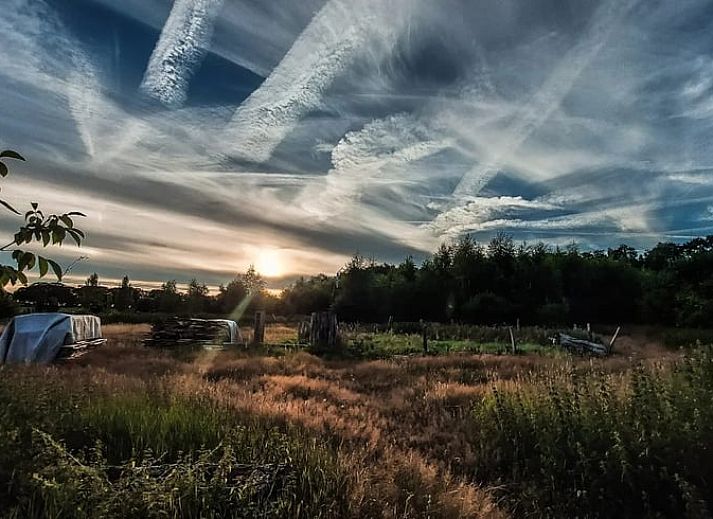 Gezellig Vakantiehuisje in Afferden, Limburg, met houten ingang en natuurlijke omgeving.