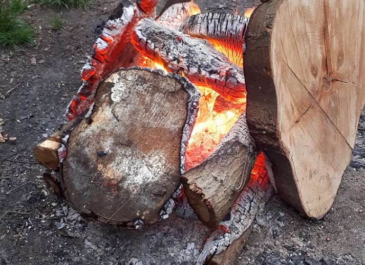 Binnenruimte van Vakantiehuisje in Afferden, Noord Limburg, met houten interieur en kachel.
