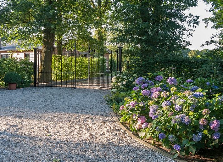 Vacation home in Afferden, North Limburg with spacious porch and green surroundings.
