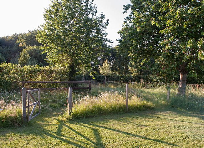 Vacation home in Afferden, North Limburg with spacious porch and green surroundings.