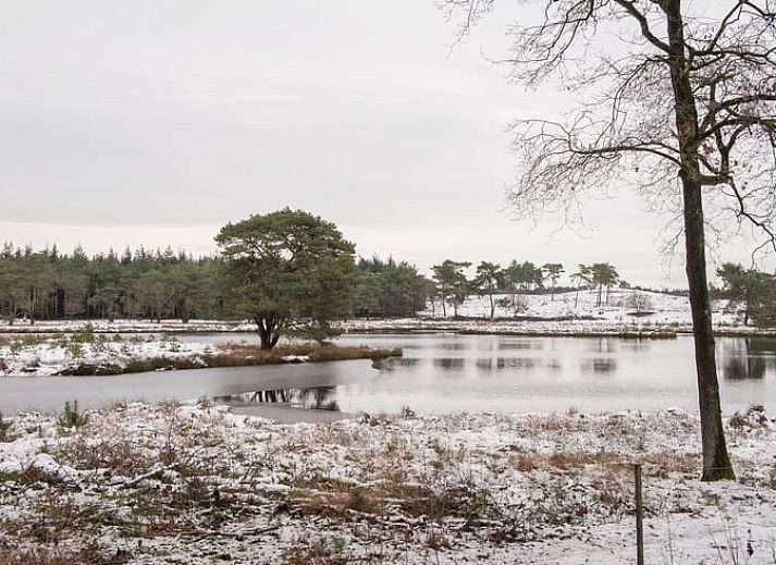 Playground at Holiday home in Afferden, Limburg surrounded by nature.