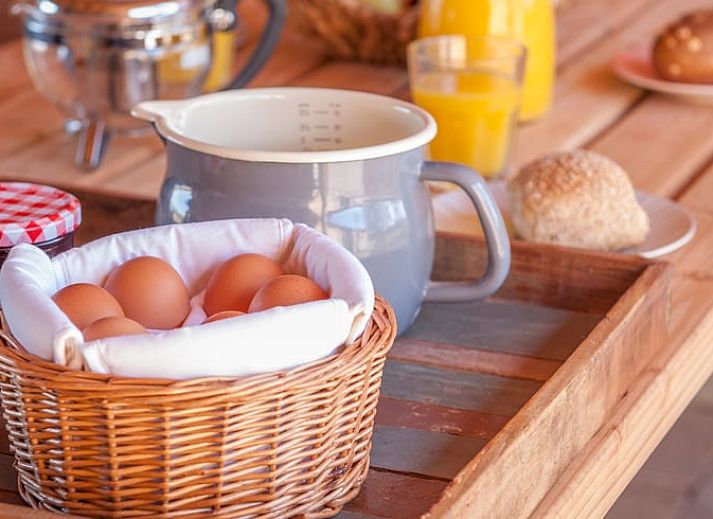 Entrance with flowers at Holiday home in Afferden, North Limburg, surrounded by greenery.
