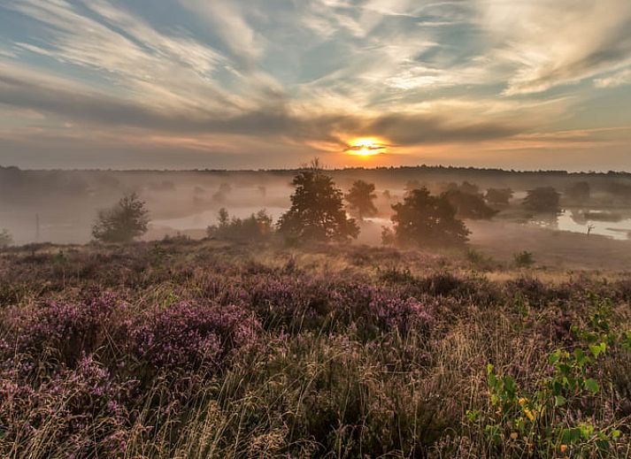 Wide views of nature and grassland at Holiday Home in Afferden, North Limburg.