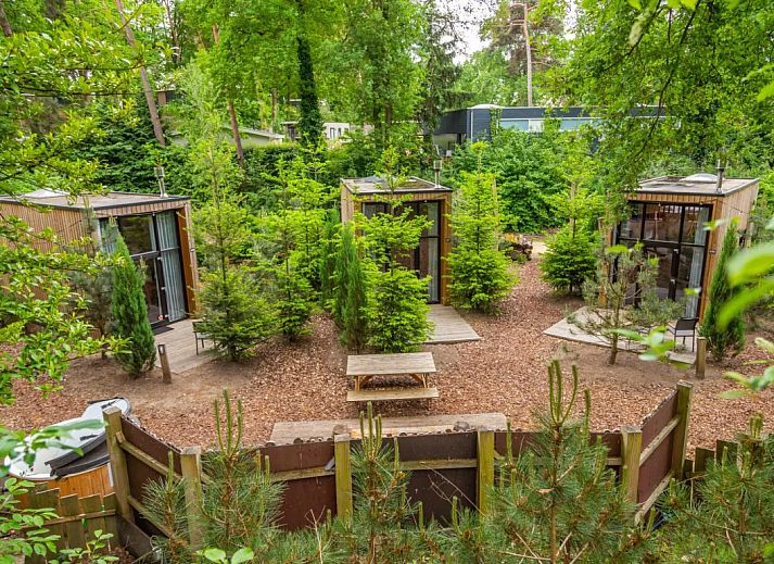 Veranda van Chalet in Belfeld, Noord Limburg met uitzicht op natuur en moderne inrichting.