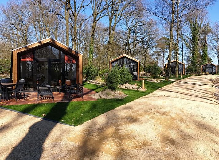 Unterkunft 383691 - Ferienhaus Noord Limburg - Forest