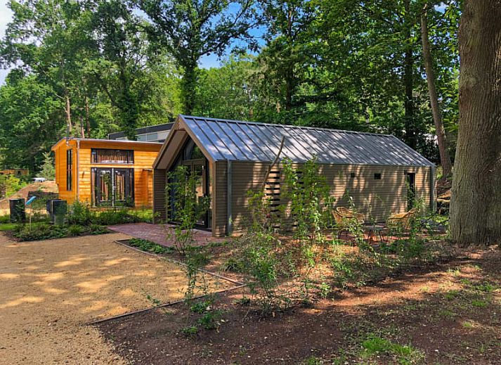Unterkunft 383691 - Ferienhaus Noord Limburg - Forest
