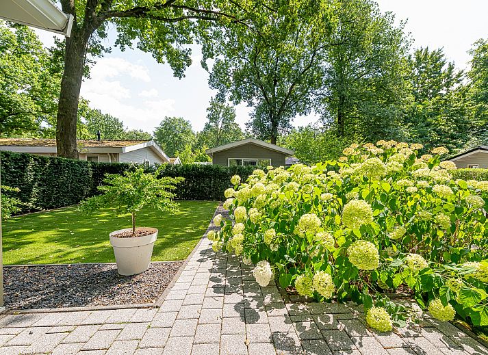 Guest house 383697 - Chalet Noord Limburg - Chalet in Belfeld