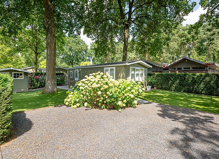 Guest house 383697 - Chalet Noord Limburg - Chalet in Belfeld