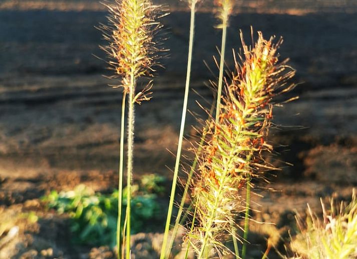 Stilvolle Dusche im Ferienhaus in Amerika, Nord-Limburg.