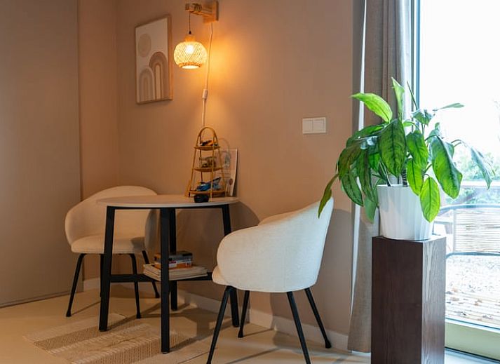 Sunny terrace at Holiday Home in America, North Limburg, with seating and flowering plants.