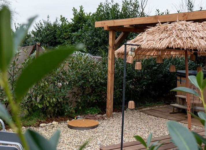 Sunny terrace at Holiday Home in America, North Limburg, with seating and flowering plants.