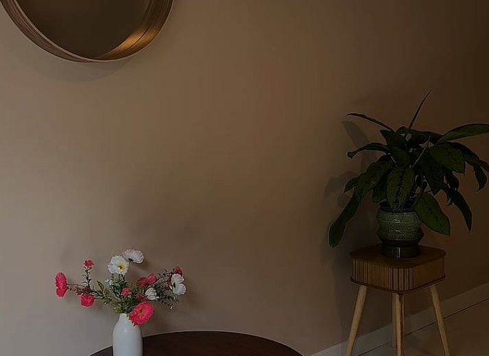 Sunny terrace at Holiday Home in America, North Limburg, with seating and flowering plants.