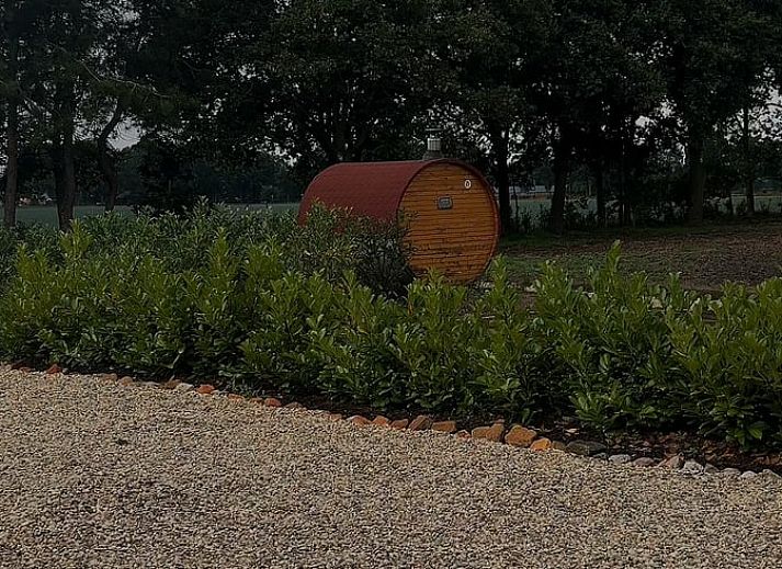 Stylish corner with flowers and plants in Holiday Home in America, North Limburg, for a homey feel.