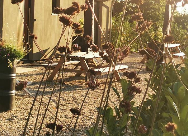 Rustic sauna in the garden of Holiday Home in America, North Limburg, surrounded by greenery.
